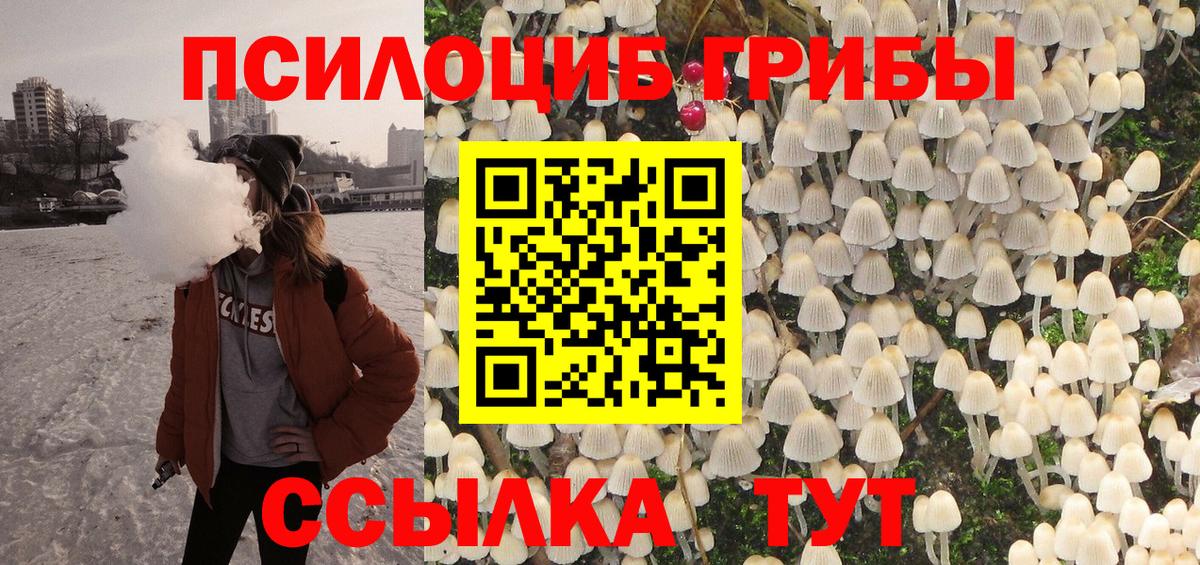 Галлюциногенные грибы Psilocybine cubensis Первоуральск