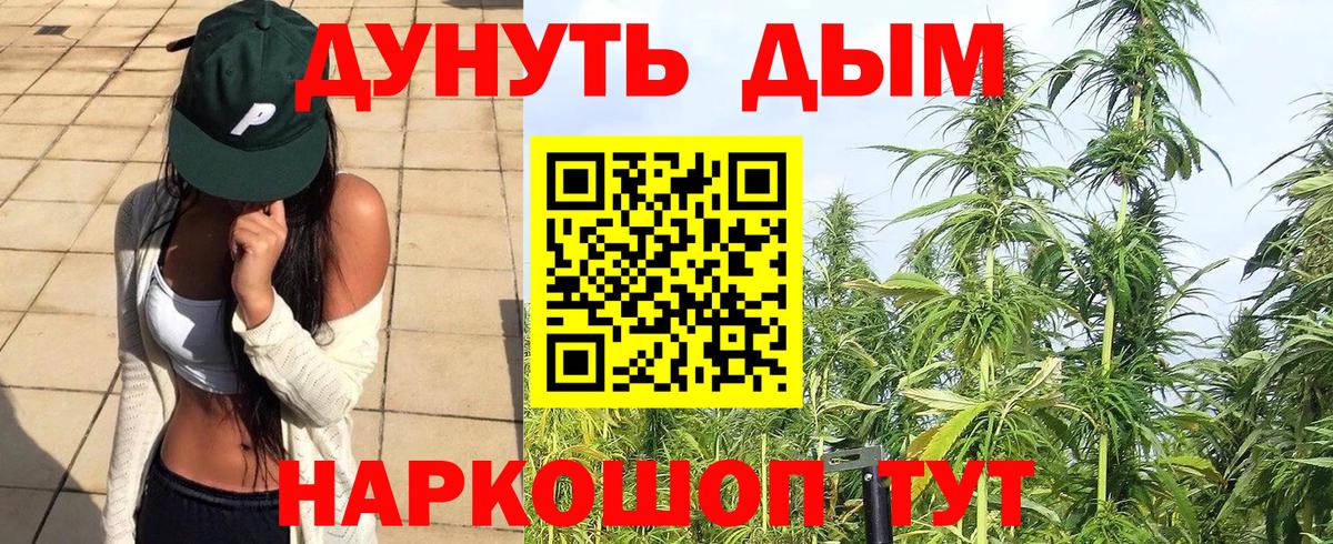 Конопля гибрид Первоуральск